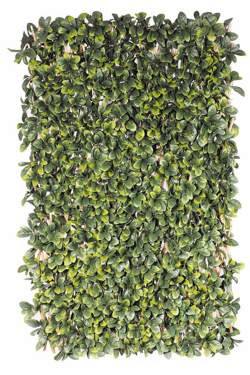 Laurel Hedge Extendable Light Timber Trellis / Screen 2 Meter By 1 Meter UV Stabilised