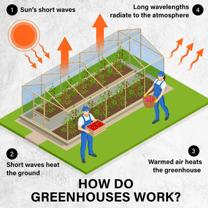 Greenhouse Walk-In Shed 6x3x2M PE Dome Hoop Tunnel Polytunnel