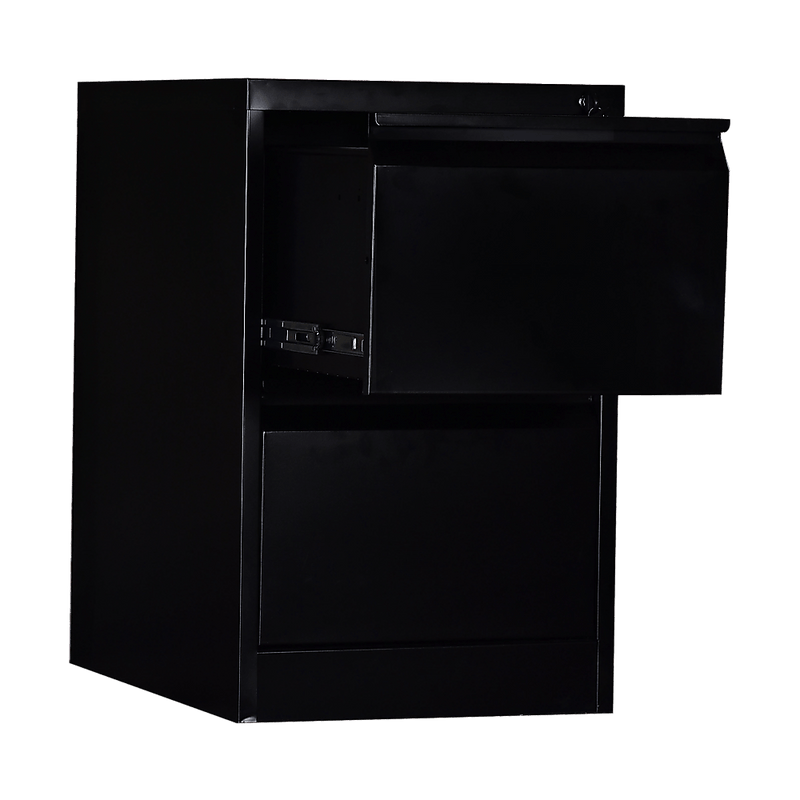 2-Drawer Shelf Office Gym Filing Storage Locker Cabinet