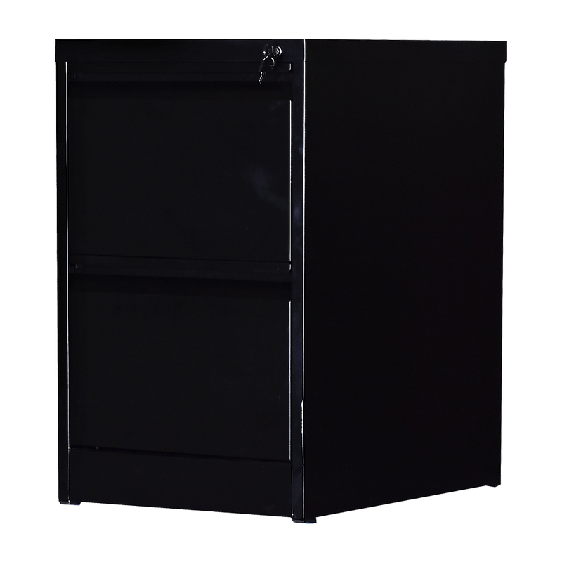 2-Drawer Shelf Office Gym Filing Storage Locker Cabinet