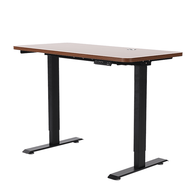 Palermo Standing Desk Sit Stand Height Adjustable Motorised 120cm Table Dual Motor