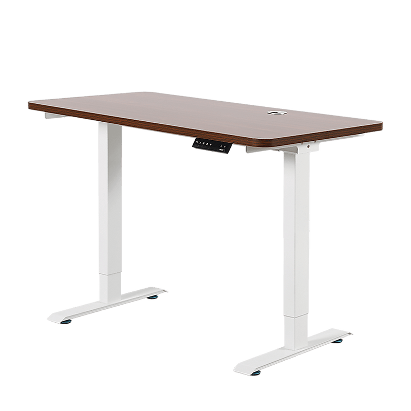 Palermo Standing Desk Sit Stand Height Adjustable Motorised 120cm Table Dual Motor