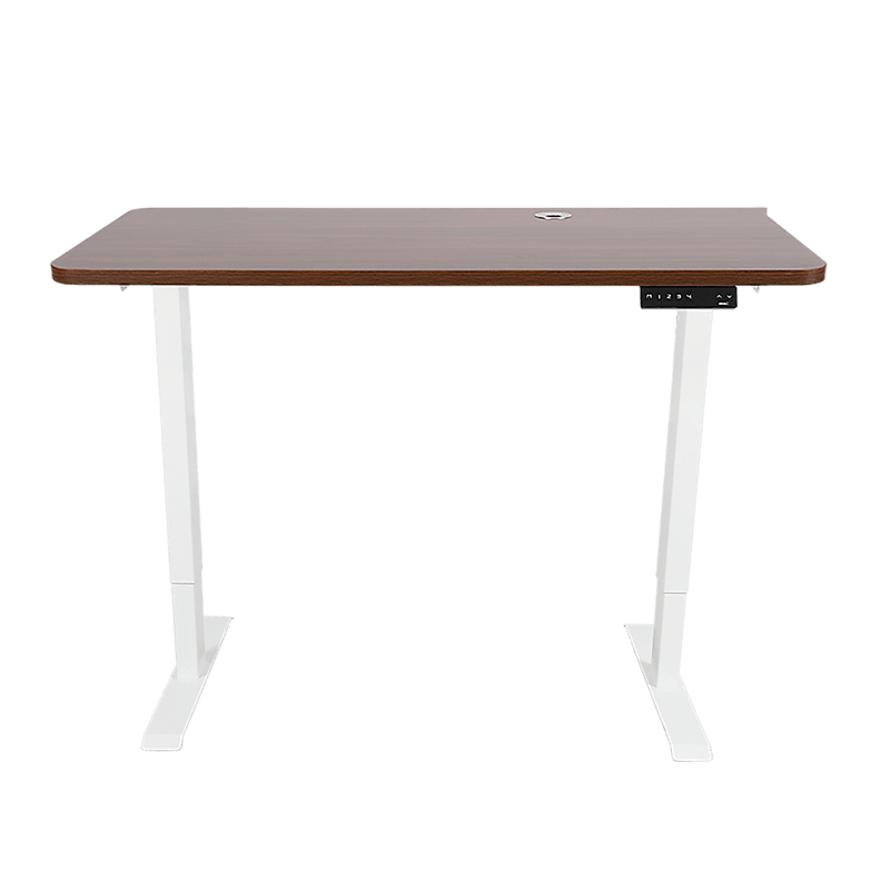 Palermo Standing Desk Sit Stand Height Adjustable Motorised 120cm Table Dual Motor